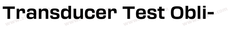 Transducer Test Obli字体转换